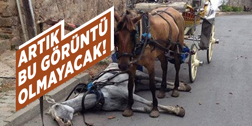 Fotoğraflar paylaşıldı! Atlı faytonların yerine...