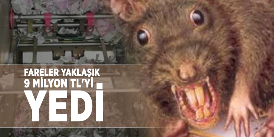 Fareler yaklaşık 9 milyon TL'yi yedi