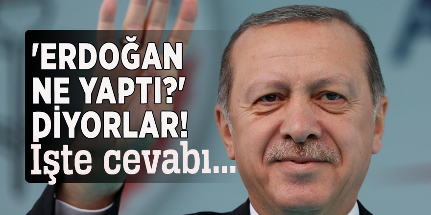 'Erdoğan ne yaptı?' diyorlar! İşte cevabı