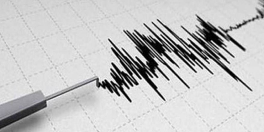 Van'da korkutan deprem!