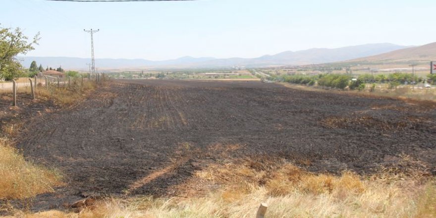 Sigara izmariti 80 dönüm buğdayı kül etti