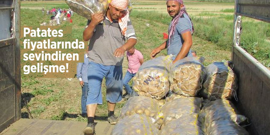 Patates fiyatlarında sevindiren gelişme!