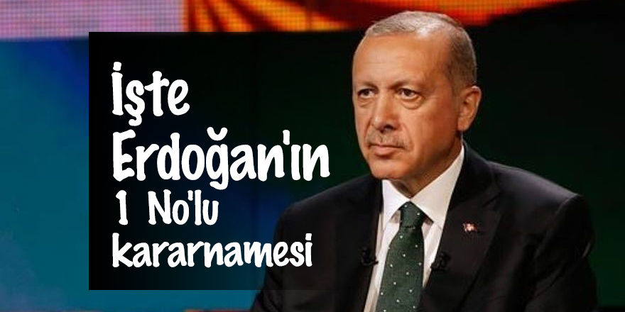 İşte Erdoğan'ın 1 No'lu kararnamesi