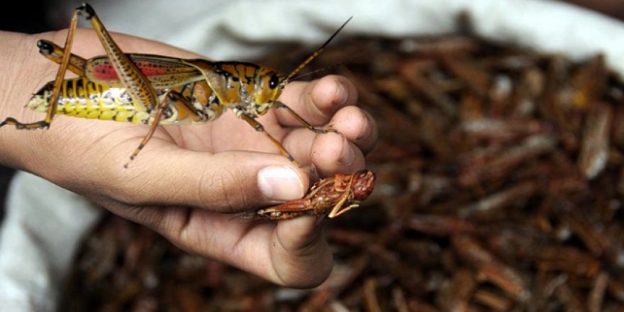 Böyle OHAL görülmedi!