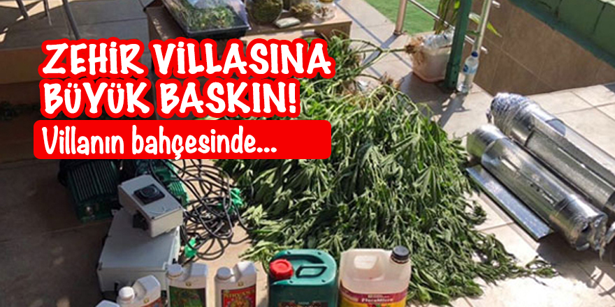 Zehir villasına büyük baskın! Villanın bahçesinde...