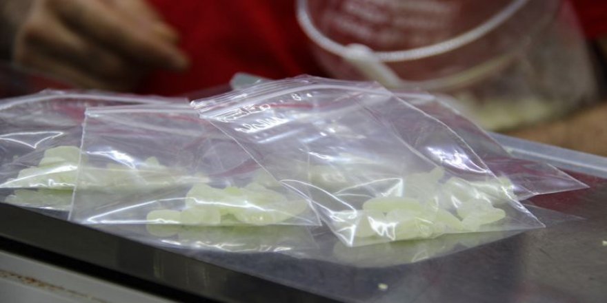 Damla sakızının kilosu 800 TL'den bin 500 liraya yükseldi!