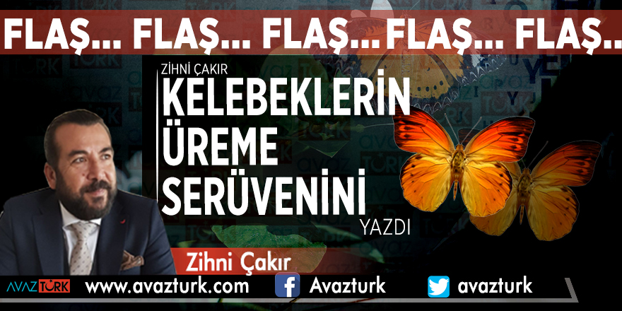 Flaş flaş flaş! Zihni Çakır Kelebeklerin üreme serüvenini yazdı!