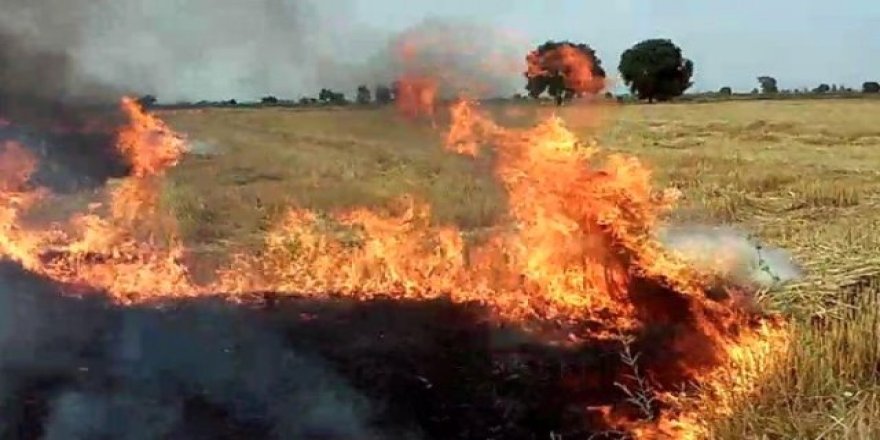 Anız yakanlara hapis şoku!
