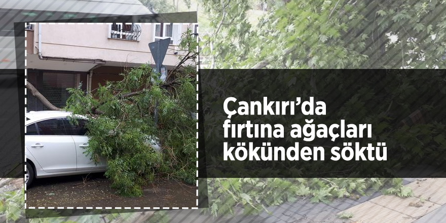 Çankırı’da fırtına ağaçları kökünden söktü