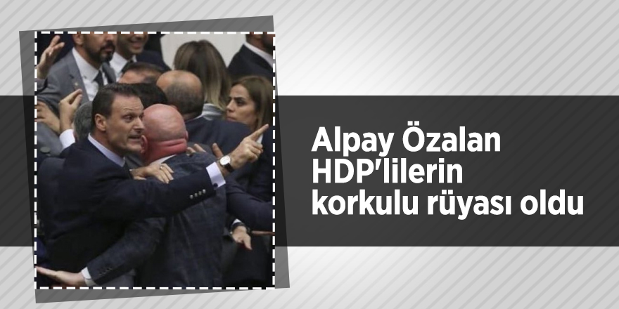 Alpay Özalan HDP'lilerin korkulu rüyası oldu