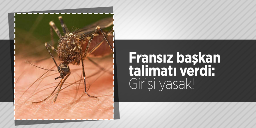 Fransız başkan talimatı verdi: Girişi yasak!