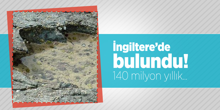 İngiltere’de bulundu! 140 milyon yıllık...
