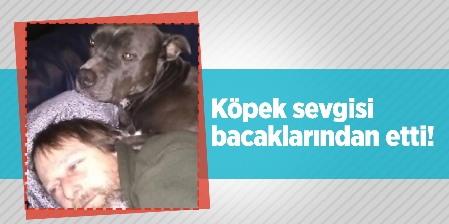 Köpek sevgisi bacaklarından etti!