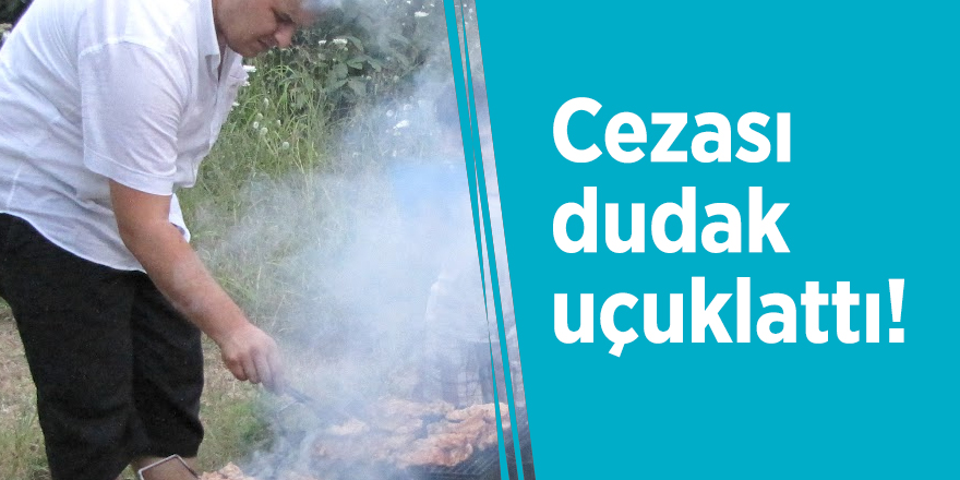 Mangal yakmanın cezası dudak uçuklattı!