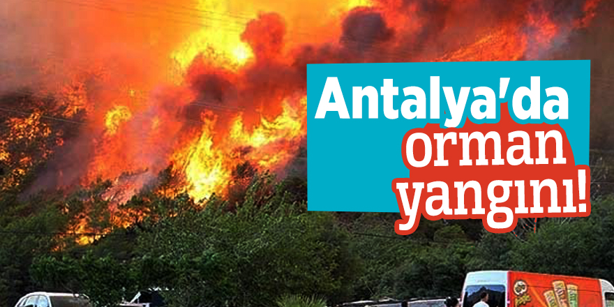 Antalya'da orman yangını!