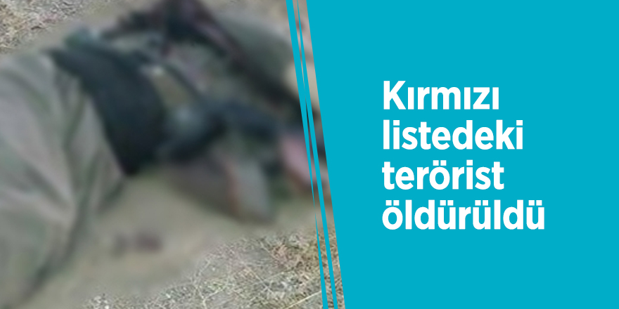 Kırmızı listedeki terörist öldürüldü