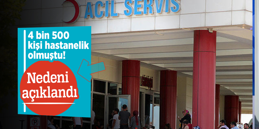 4 bin 500 kişi hastanelik olmuştu! Nedeni açıklandı