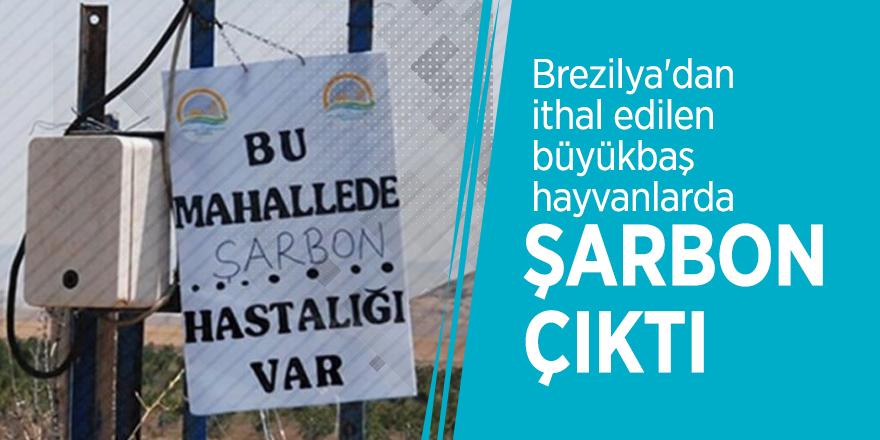 Brezilya'dan ithal edilen büyükbaş hayvanlarda şarbon çıktı
