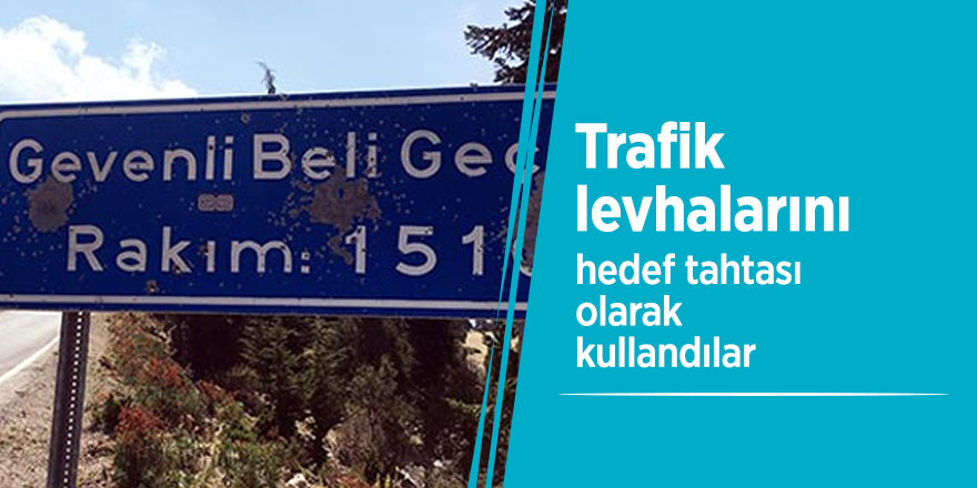 Trafik levhalarını hedef tahtası olarak kullandılar