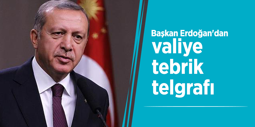Başkan Erdoğan'dan valiye tebrik telgrafı