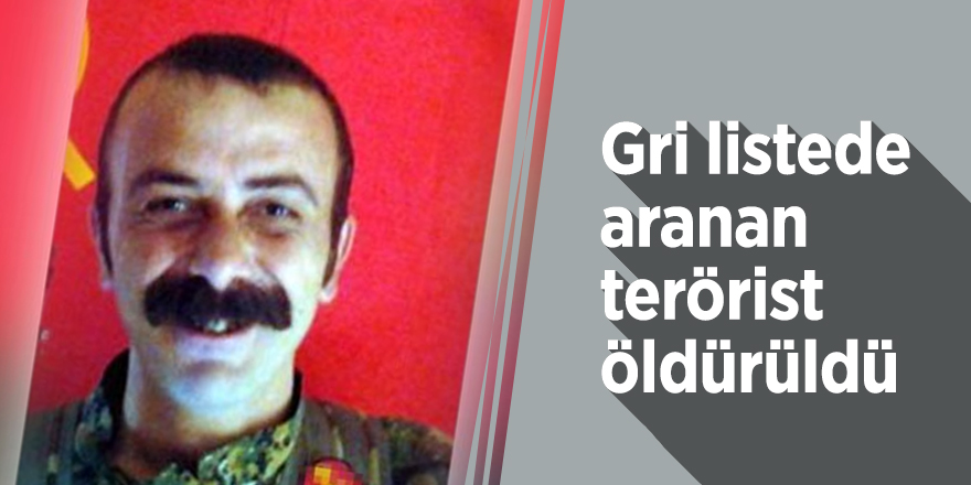 Gri listede aranan terörist öldürüldü