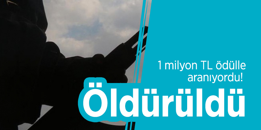 1 milyon TL ödülle aranıyordu! Öldürüldü