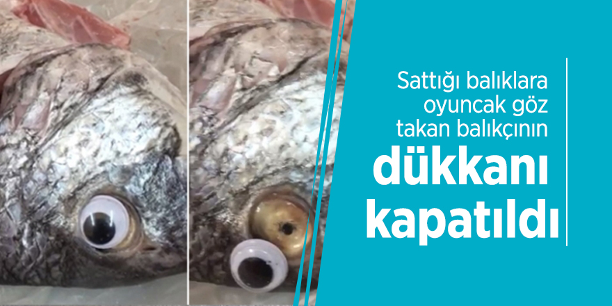 Sattığı balıklara oyuncak göz takan balıkçının dükkanı kapatıldı