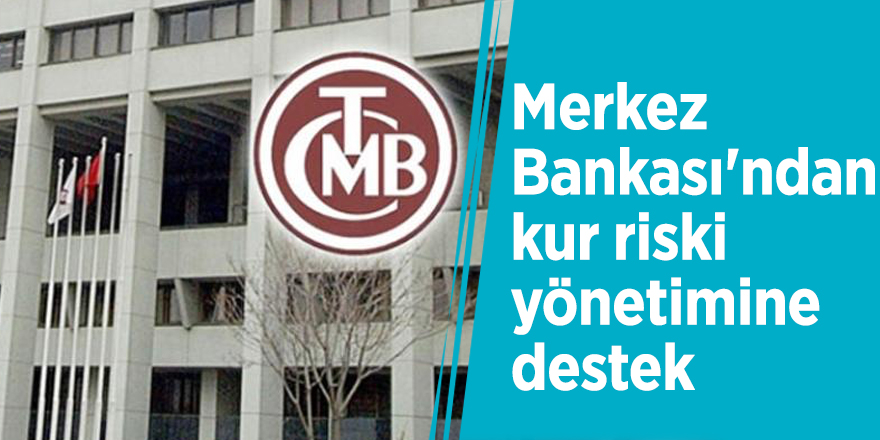 Merkez Bankası'ndan kur riski yönetimine destek