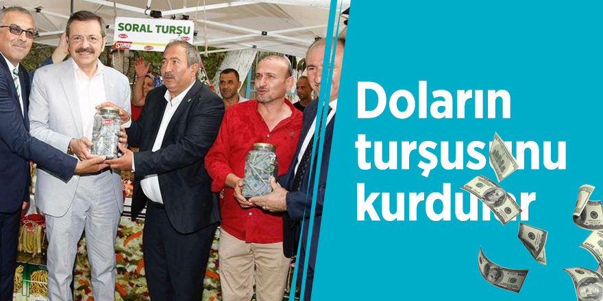 Doların turşusunu kurdular