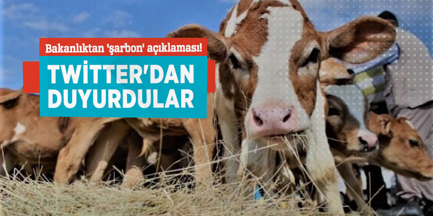 Bakanlıktan 'şarbon' açıklaması! Twitter'dan duyurdular