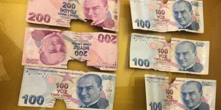 Evde sakladığı parayı fareler kemirdi