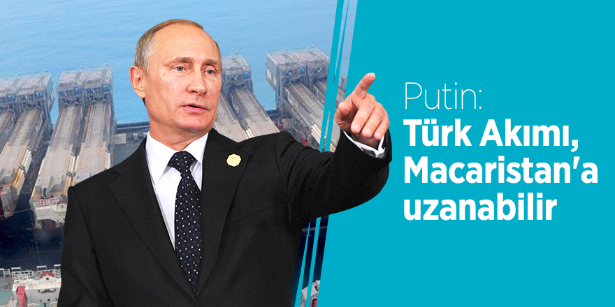 Putin: Türk Akımı, Macaristan'a uzanabilir