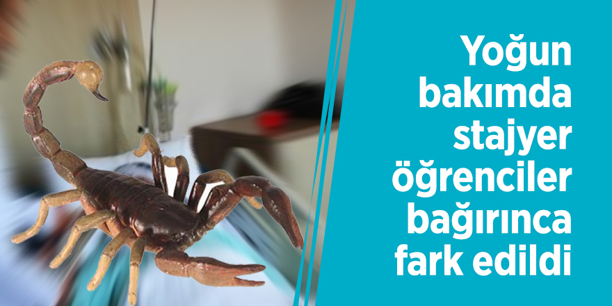 Yoğun bakımda stajyer öğrenciler bağırınca fark edildi