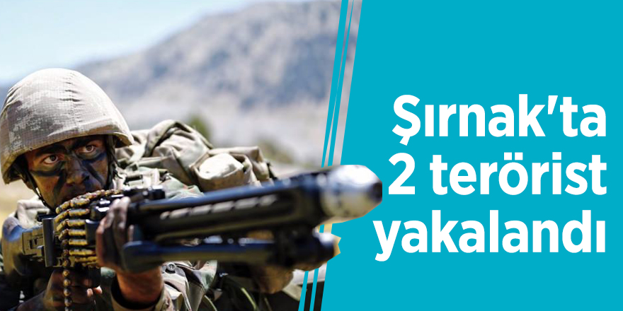 Şırnak'ta 2 terörist yakalandı