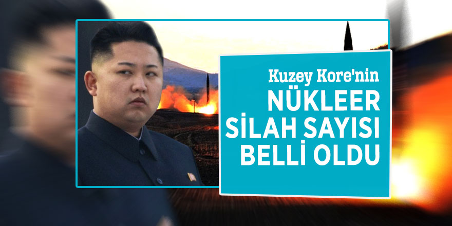 Kuzey Kore'nin nükleer silah sayısı belli oldu