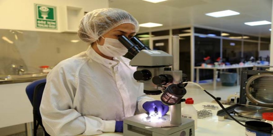 Sivas'tan 80 ülkeye ihraç ediliyor