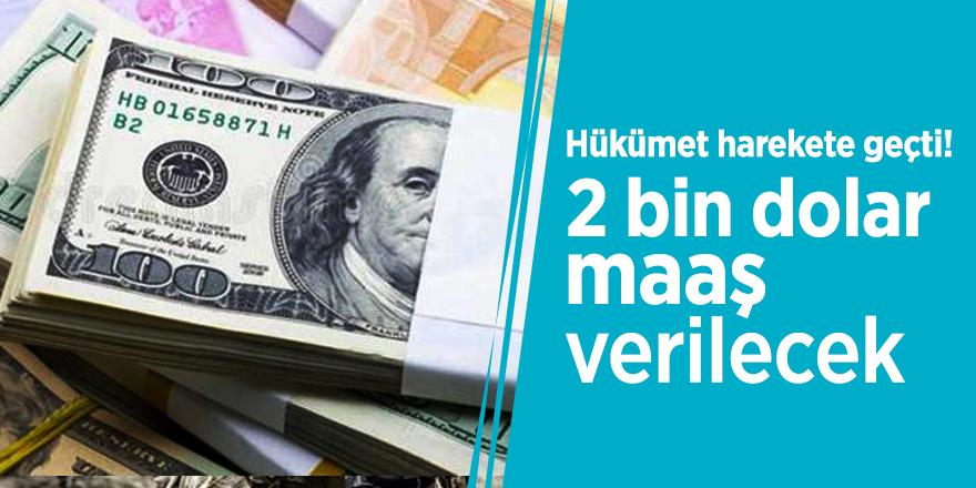 Hükümet harekete geçti! 2 bin dolar maaş verilecek