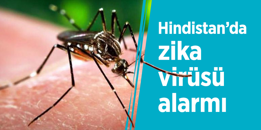 Hindistan’da zika virüsü alarmı