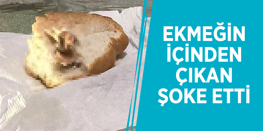 Ekmeğin içinden çıkan şoke etti
