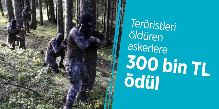 Teröristleri öldüren askerlere 300 bin TL ödül