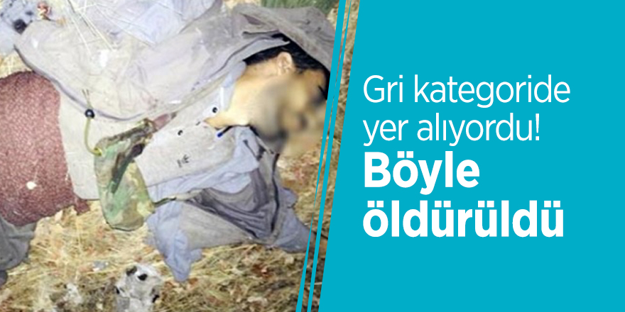Gri kategoride yer alıyordu! Böyle öldürüldü