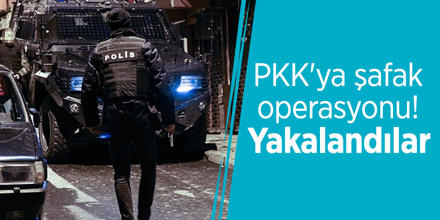 PKK'ya şafak operasyonu! Yakalandılar