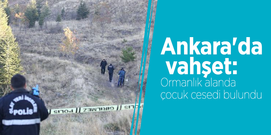 Ankara'da vahşet: Ormanlık alanda çocuk cesedi bulundu