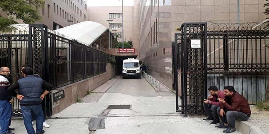 Köpeğin getirdiği bebek cesedine otopsi yapıldı