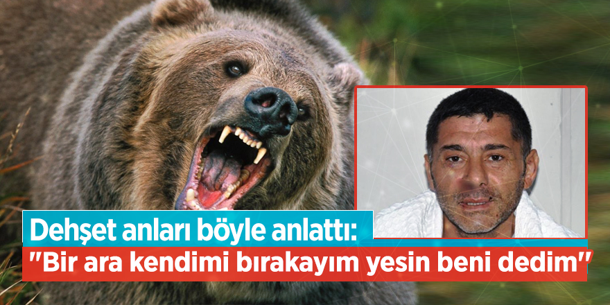Dehşet anları böyle anlattı: Ayı boğazıma çok saldırmak istedi...