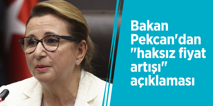 Bakan Pekcan'dan "haksız fiyat artışı" açıklaması