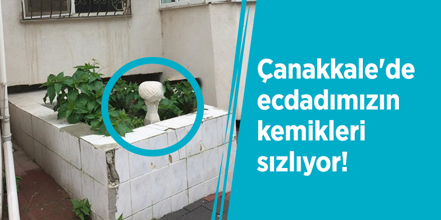 Çanakkale'de ecdadımızın kemikleri sızlıyor!