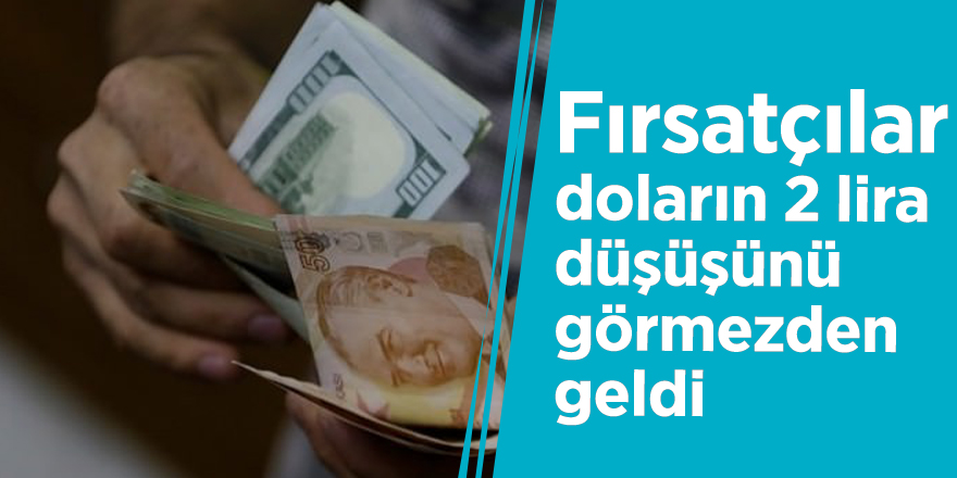 Fırsatçılar, doların 2 lira düşüşünü görmezden geldi