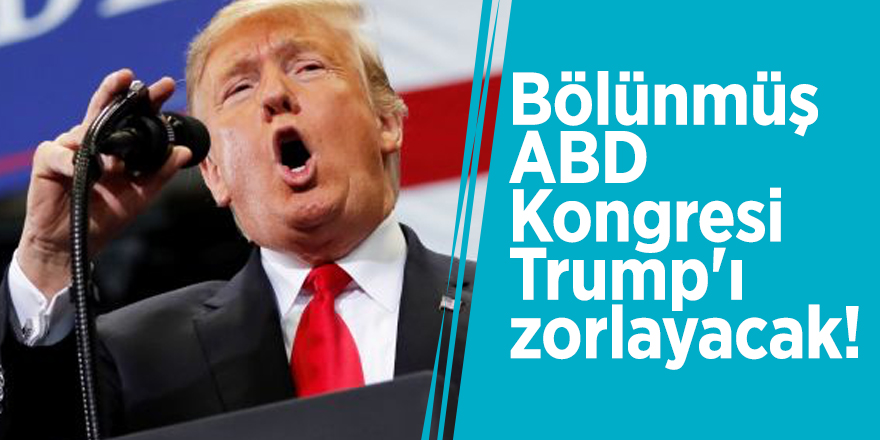 Bölünmüş ABD Kongresi, Trump'ı zorlayacak!