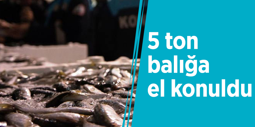 3 ilde eş zamanlı denetim! 5 ton balığa el konuldu